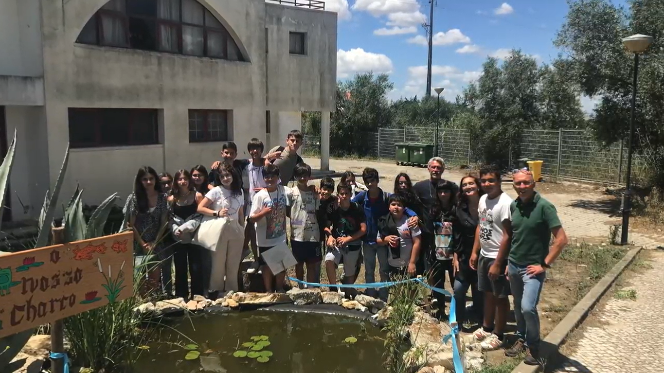 Finalização do charco
